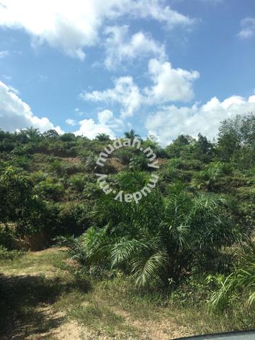 Agricultural Land For Sale Acre S Mersing Johor Mudah My