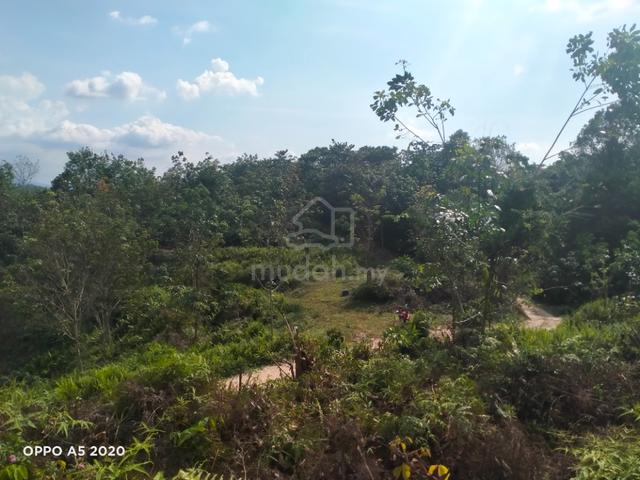 Tanah Kebun Untuk Dijual Land For Sale In Batang Kali Selangor