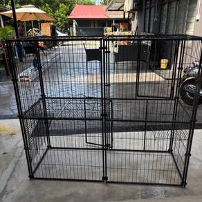 sangkar kucing
