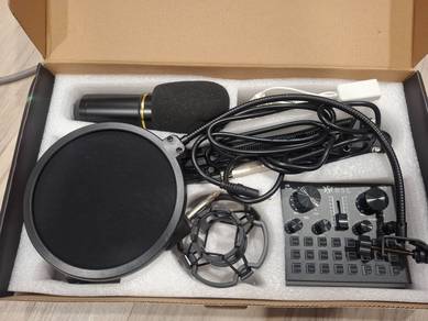 BSL Professional studio condensor microphone CARD
