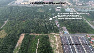 Agricultural Land in Kuala Sungai Baru, MLK