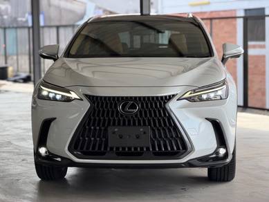 2023 Lexus NX 250 LUXURY