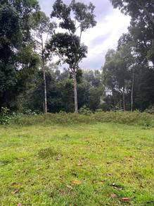 Agricultural Land in Bentong, PHG