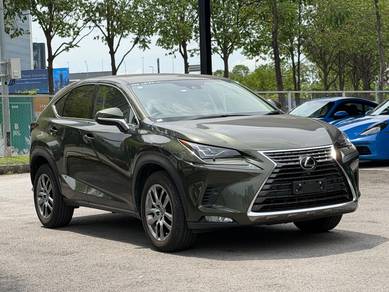 2021 Lexus NX 300 VERSION L
