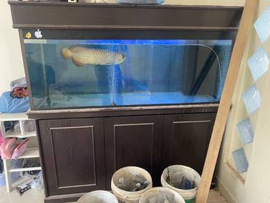 Akuarium 5 Feet With Sumptank