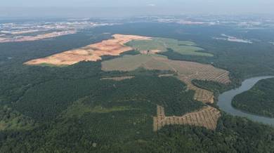 Industrial Land in Pasir Gudang, JHR