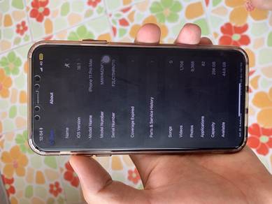ip 11 pro max