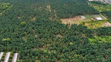 Industrial Land in Pekan Nanas, JHR