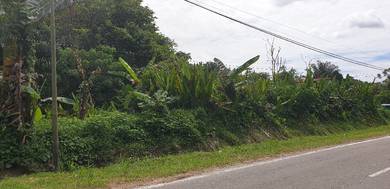 Agricultural Land in Beaufort, SBH