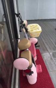electric bicycle