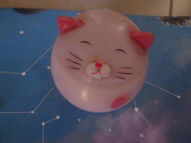 (2nd hand) storage case (can put toothpicks )