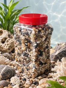 Aquarium Decorations🐠 – Natural Stones & Corals