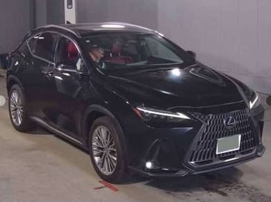 Lexus NX 250 LUXURY in Georgetown, PNG