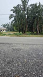 Agricultural Land in Puncak Alam, SGR