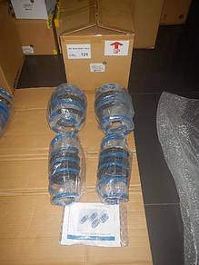 Spoon Progressive Spring Set FL5 Type R