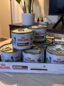 ROYAL CANIN Recovery