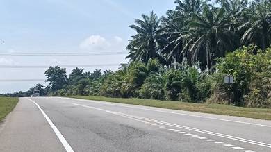 Agricultural Land in Kuala Muda, KDH