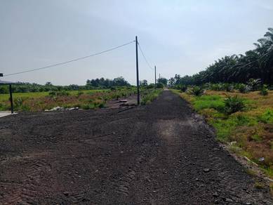 Agricultural Land in Kuala Kurau, PRK