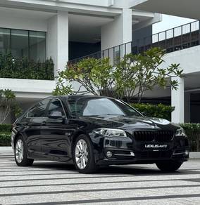 2015 BMW 520i 20i