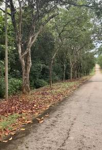 Residential Land in Rawang, SGR