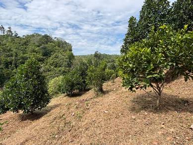 Agricultural Land in Kuala Pilah, NSN