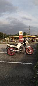 Suzuki Panther TXR 150