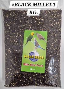 Clean Seed 1kg Millet Red Black Green Bird Food