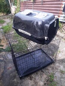 sangkar dan carrier kucing