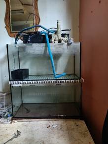 aqurium 2 kaki..