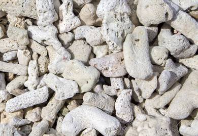 Artificial Dead Coral for Aquaculture Aquarium