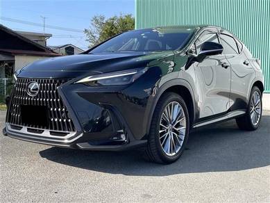 Lexus NX 250 LUXURY in Titiwangsa, KUL