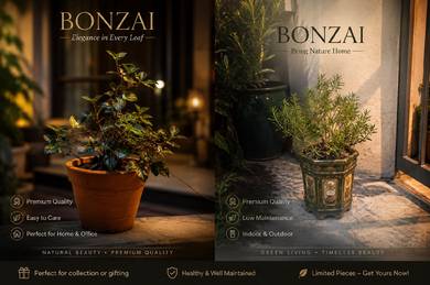 Bonsai Chinq