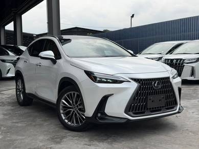 Lexus NX 250 LUXURY in Chan Sow Lin, KUL