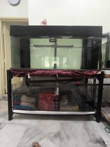 Aquarium 4ft All For Sale