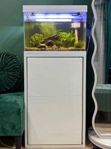 Aquarium Aquascape