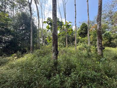 Agricultural Land in Ulu Tiram, JHR