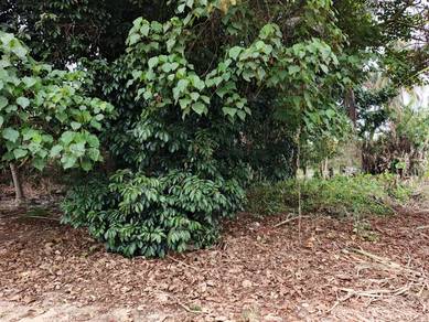 Residential Land in Kuala Klawang, NSN