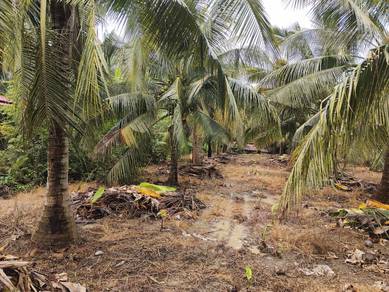 Others Land in Sungai Ayer Tawar, SGR