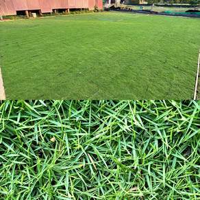 Rumput Taman Berkualiti