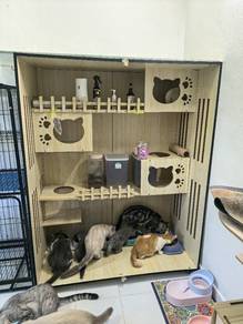 sangkar kucing indoor