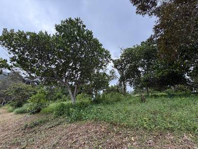 Agricultural Land in Sungai Petani, KDH