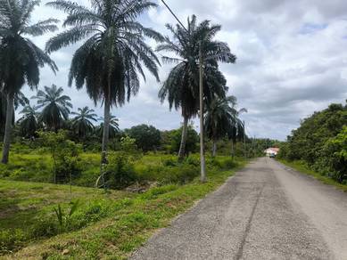 Agricultural Land in Kuala Linggi, MLK