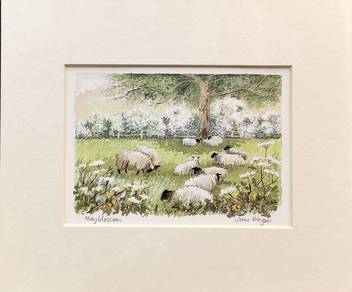 “May Blossom” Countryside Sheep Lithograph