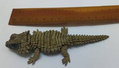 Armadilac Lizard