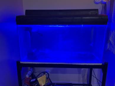 fish tank