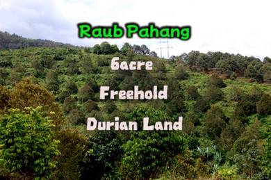 Agricultural Land in Raub, PHG