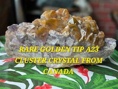 Collectors Item. Super Rare Golden Auralite 23