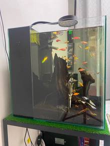 Aquarium 1.5ft square
