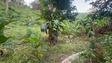Residential Land in Relau, PNG