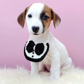 Jack Russell